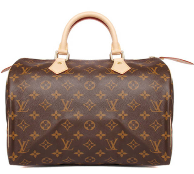 Louis Vuitton Silk Tech Speedy 40 product image