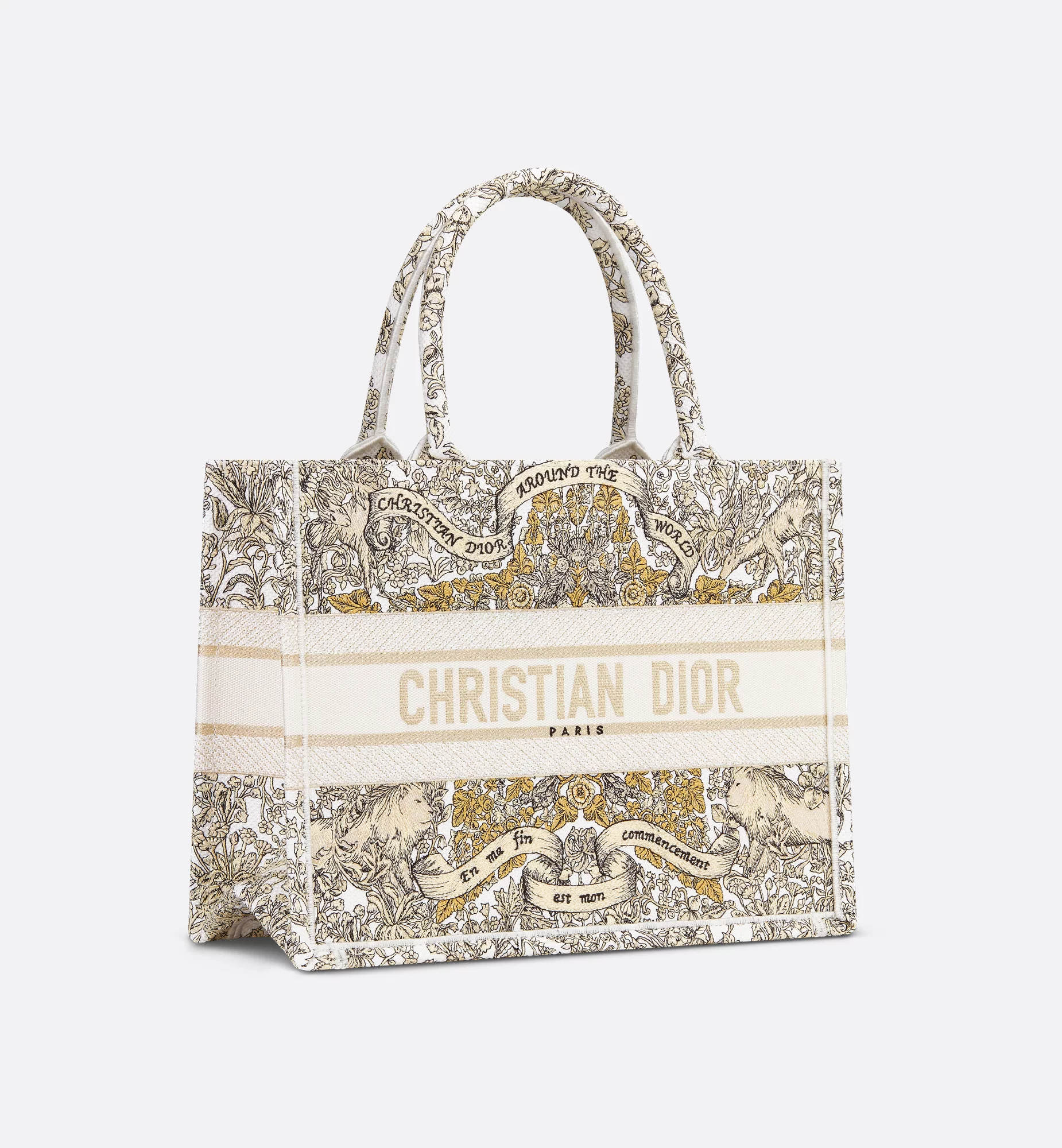 Dior Book Tote World Literature Edition product image